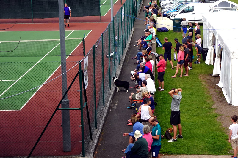 Photo 5 of 29, Around the courts, 2019